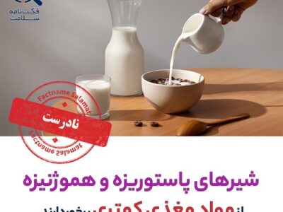 راستی‌آزمایی: مقدار و کیفیت مواد مغذی در شیرهای پاستوریزه و هموژنیزه کم‌تر است.