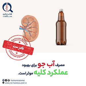 راستی‌آزمایی: مصرف آب‌جو برای بهبود عملکرد کلیه موثر است.