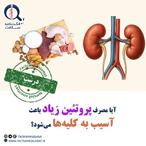 آیا مصرف زیاد پروتئین باعث آسیب به کلیه‌ها می‌شود؟