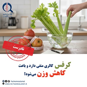 آیا مصرف کرفس به دلیل داشتن کالری منفی، باعث کاهش وزن می‌شود؟